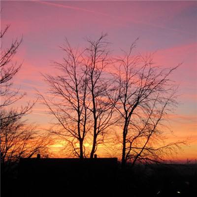 赏金女王下载ios